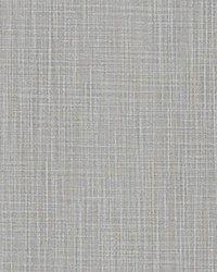 Faulkner Stormy Slub Canvas by   