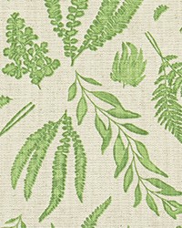 Fern Tendril Green Slub Linen Natural by   