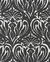 Joash Ink Slub Canvas by   