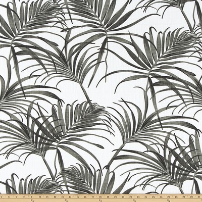 Premier Prints Karoo Raven Slub Canvas in SLUB CANVAS Black cotton  Blend Tropical  Classic Tropical   Fabric