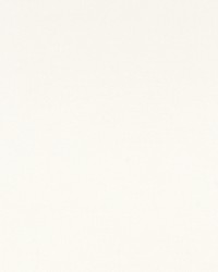 Macon Cotton by  Premier Prints 