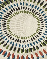 Manifesto Sonoran Braxton by   