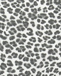 Outdoor Amazon Falcon Grey by   