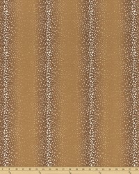 Outdoor Antelope Stucco by   