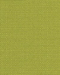 Premier Prints Odt Dyed Greenery Fabric
