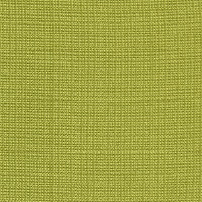 Premier Prints Odt Dyed Greenery in LUXE POLYESTER Green Polyester Solid Outdoor   Fabric