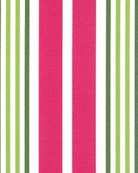 Outdoor Gibson Jazz Pink by   