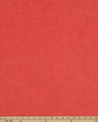 Outdoor Jackson Indian Coral by   