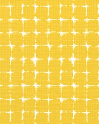 Outdoor Neptune Pineapple by   