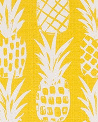 ODT Pineapple Pineapple Luxe P by   
