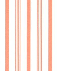 Outdoor Rowan Coral by   