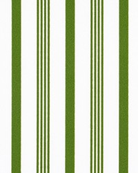 Outdoor Rowan Green by   