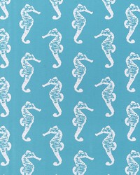 Outdoor Sea Horse Ocean by  Premier Prints 