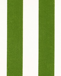 Outdoor Stripe Green by   