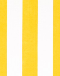 Outdoor Stripe Pineapple by   