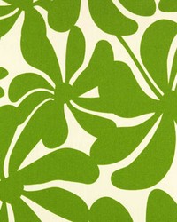 Outdoor Twirly Greenage by  Premier Prints 