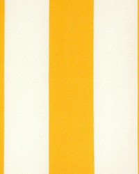 Outdoor Vertical Citrus Yellow by  Premier Prints 