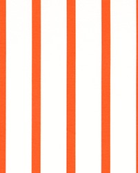 Outdoor Winslow Marmalade by   