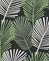 Rain Forest Pine by  Premier Prints 