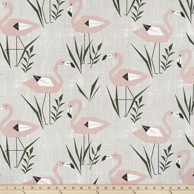 Premier Prints Ringo Talia Slub Canvas in Tropical Whimsy Pink cotton  Blend Birds and Feather  Beach  Fabric