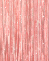 Scribble Coral White by  Premier Prints 