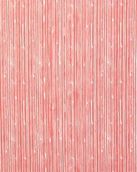 Scribble Coral White by  Premier Prints 