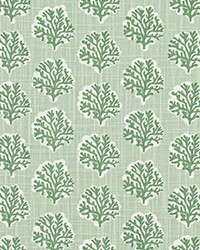 Sea Fan Pistachio Slub Canvas by   