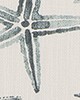 Premier Prints Starfish  HARBOR