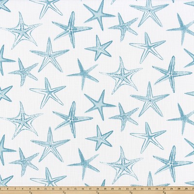 Premier Prints Starfish Maui Luxe Canvas in Luxe Canvas Blue Cotton  Blend Sea Shell  Beach  Fabric