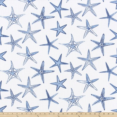 Premier Prints Starfish Palace Luxe Canvas in Luxe Canvas Blue Cotton  Blend Sea Shell  Beach  Fabric