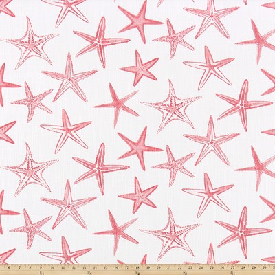 Premier Prints Starfish Sunset Coral Luxe Can in Luxe Canvas Yellow Cotton  Blend Sea Shell  Beach  Fabric