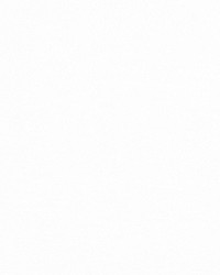 T-Spun Polyester by  Premier Prints 