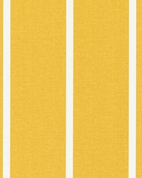Windridge Spice Yellow by   