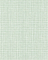 Windswept Pistachio Slub Canvas by   