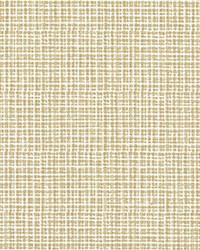 Windswept Shoreline Slub Canvas by   