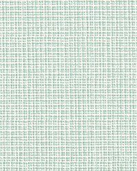 Windswept Silver Springs Slub Canvas by   