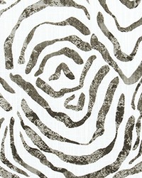 Zephyr Jet Luxe Canvas by   