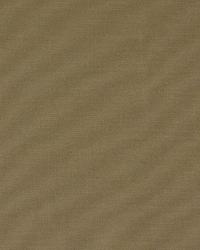 Taurus Pewter by  Robert Allen 