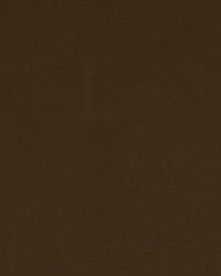 Taurus Cocoa by  Robert Allen 