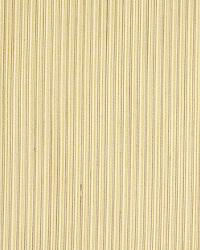 Mini Twine Pineapple by  Robert Allen 