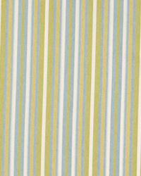 Sweet Stripes Botanical by  Robert Allen 