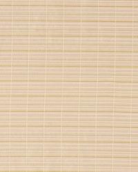 Cable Cord Blush by  Robert Allen 