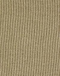 Mallaspina Linen by  Robert Allen 