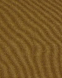 Mallaspina Root by  Robert Allen 