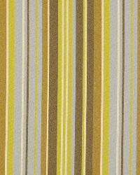 Straight Line Avocado by  Robert Allen 