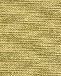 Evetta Pear by  Robert Allen 