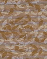 Fairwood Glen Camel by  Robert Allen 