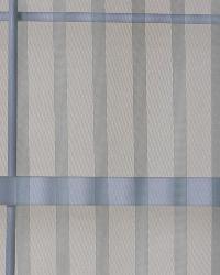 Striped Net Mallard by  Robert Allen 