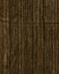 Comfort Zone Mocha by  Robert Allen 