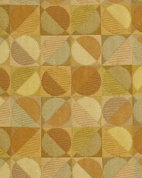 Peace Time Conch by  Robert Allen 